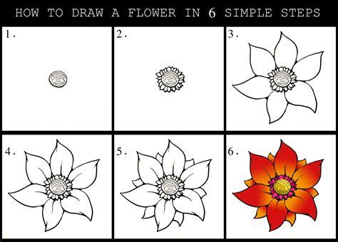 how do you draw a flower step by step|drawing basic flower shapes.